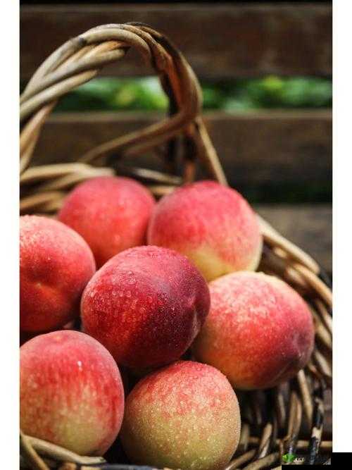 蜜汁桃桃的甜蜜诱惑