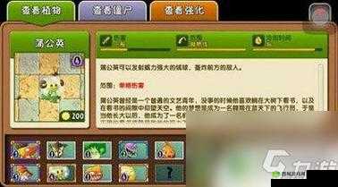 植物大战僵尸 2 蒲公英到底好不好用及详细属性介绍
