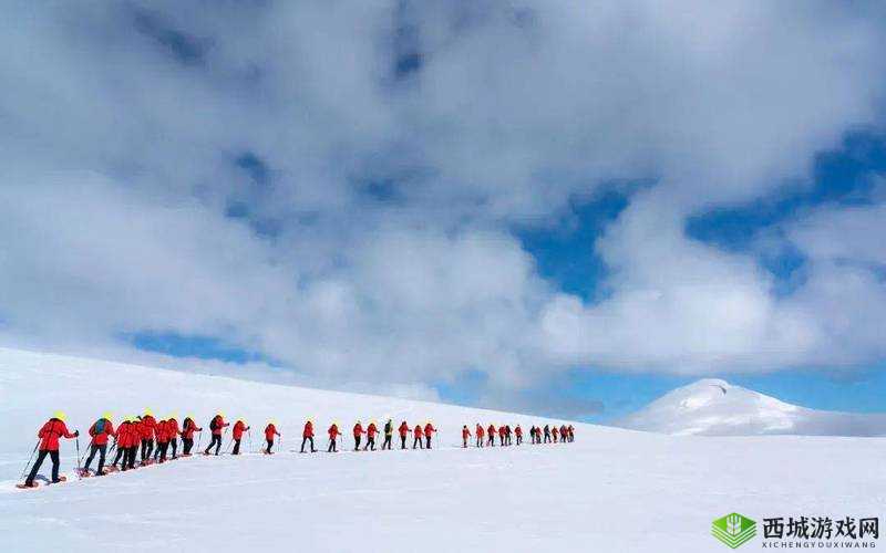 狂野少女免费完整版电影:震撼视觉之旅