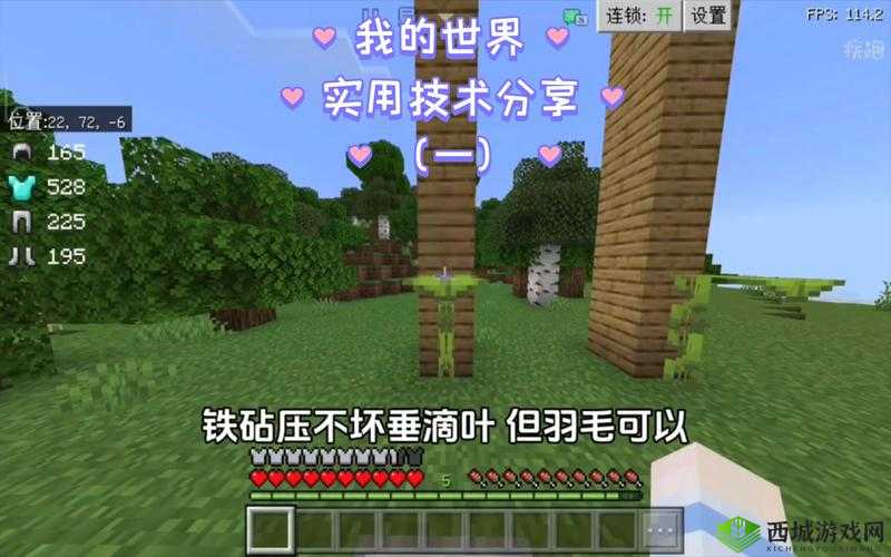 我的世界:MC 小技巧 50 个不为人知的秘籍大放送