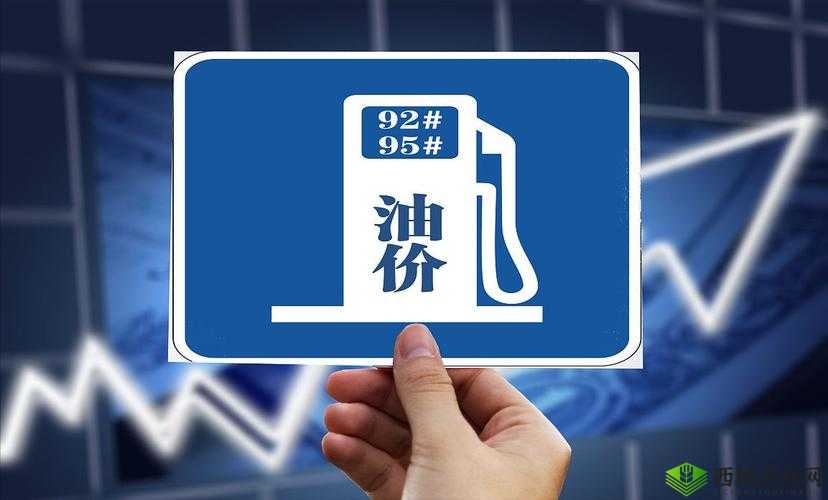 X7X7X7 任意噪 2023 全新解读