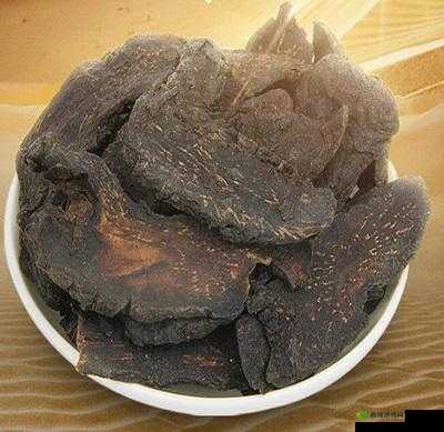 夜战十女不败草药:神奇功效大揭秘