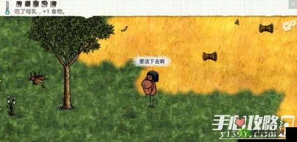 小时人生:纸的用途与纸的获取方法