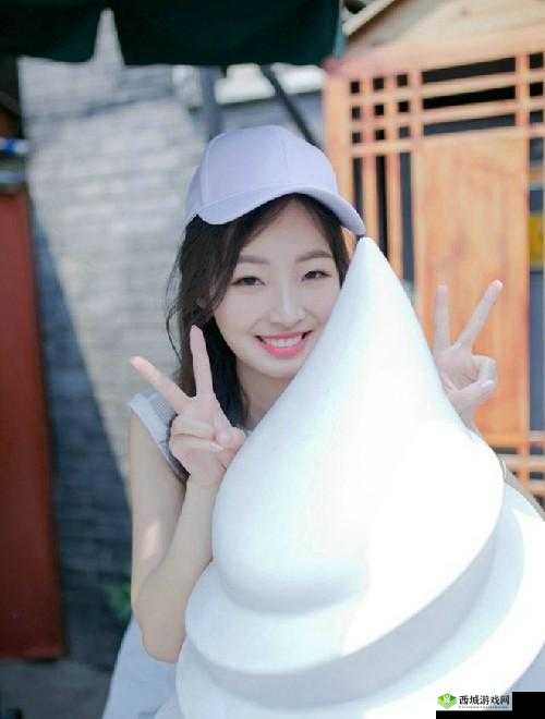 23 部禽女乱录像全揭秘