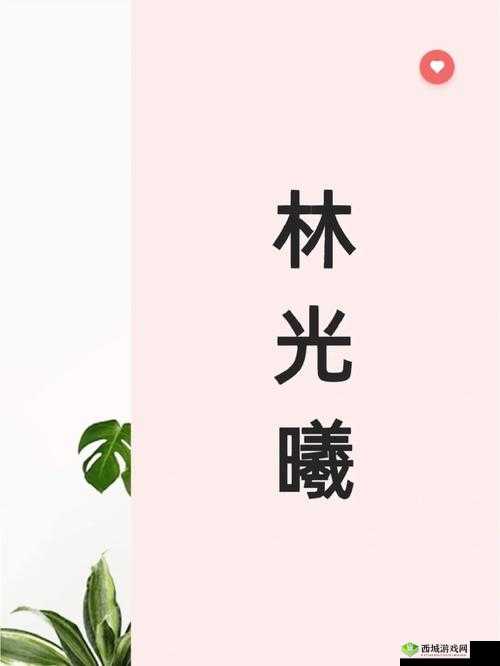 再试一次by林光曦主要讲了什么:深度解析