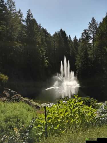 喷泉 1V3HL 辛浮精彩对决回顾