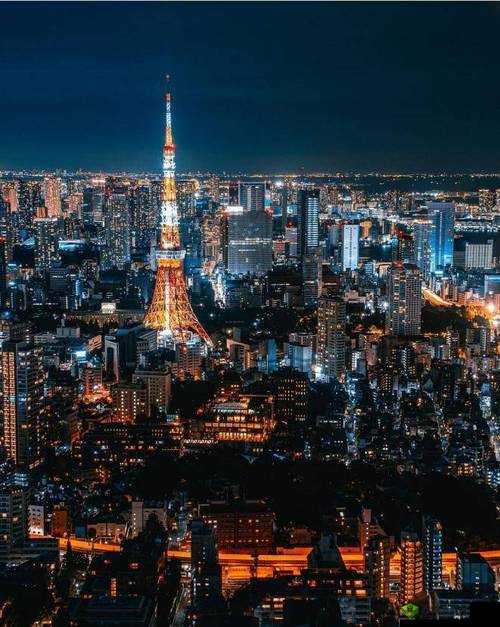 东京熟下载:精彩内容不容错过