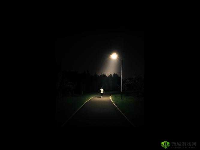 《破晓之夜》—— 破坏者《鬼泣4》第章通关攻略:黑暗中的曙光