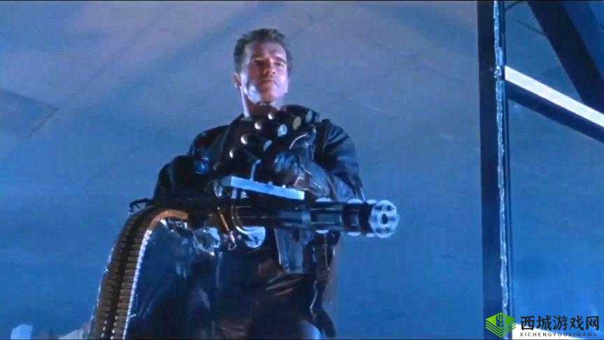 关于《终结者2审判日》中白色恋人套装的获取方式与秘籍揭秘