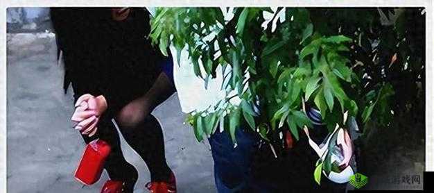 70 岁老人森林交易 10 元一次:令人震惊的现象