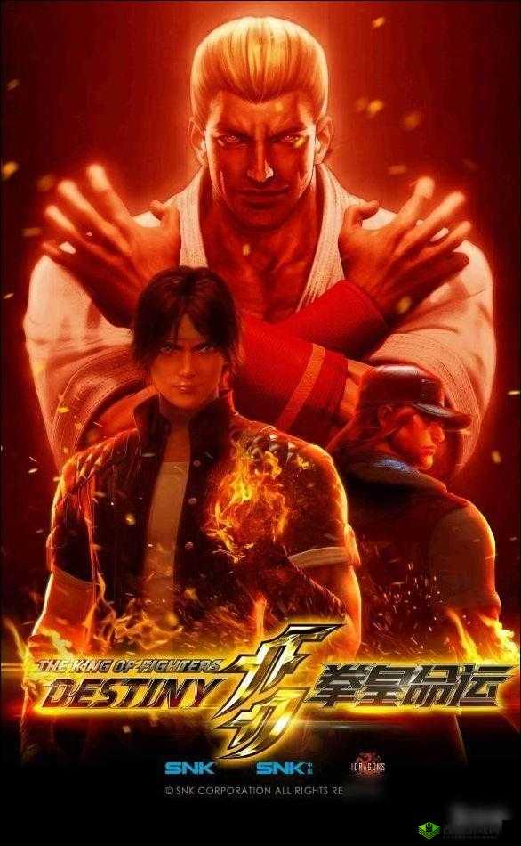 《拳皇命运武馆基金:平民玩家的明智之选》