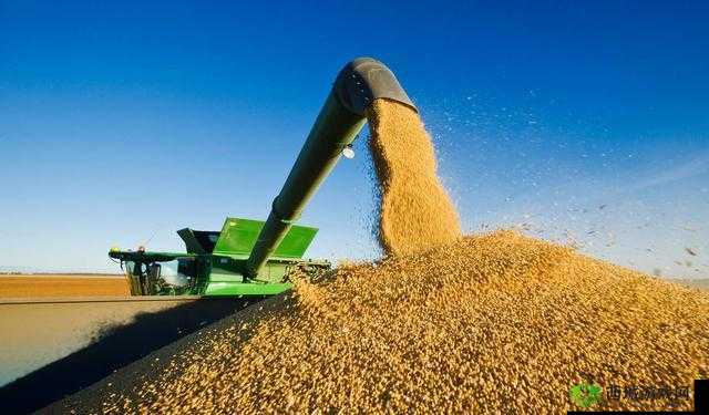 大豆行情网免费 v:实时行情分析,助你掌握投资先机