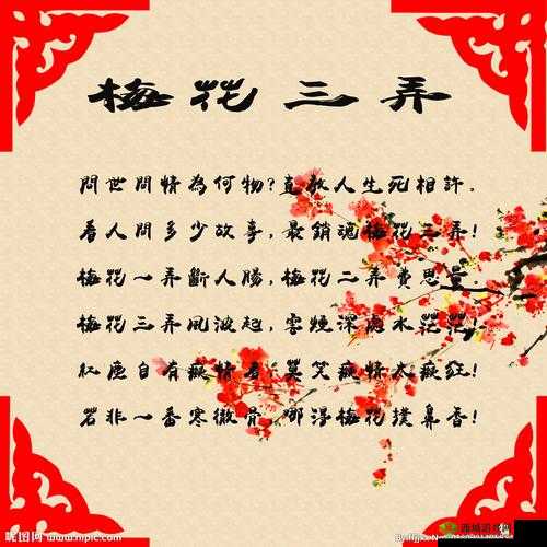 男女之间梅花三弄是啥意思:深度解析