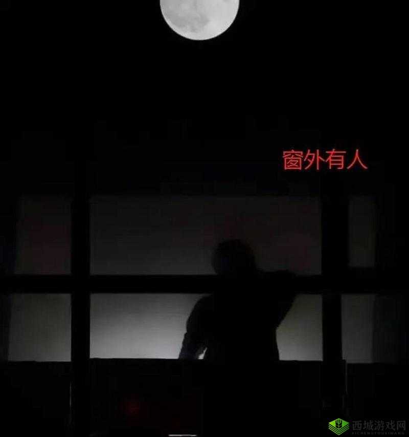 三更半夜外站midnight:寂静时分的神秘所在