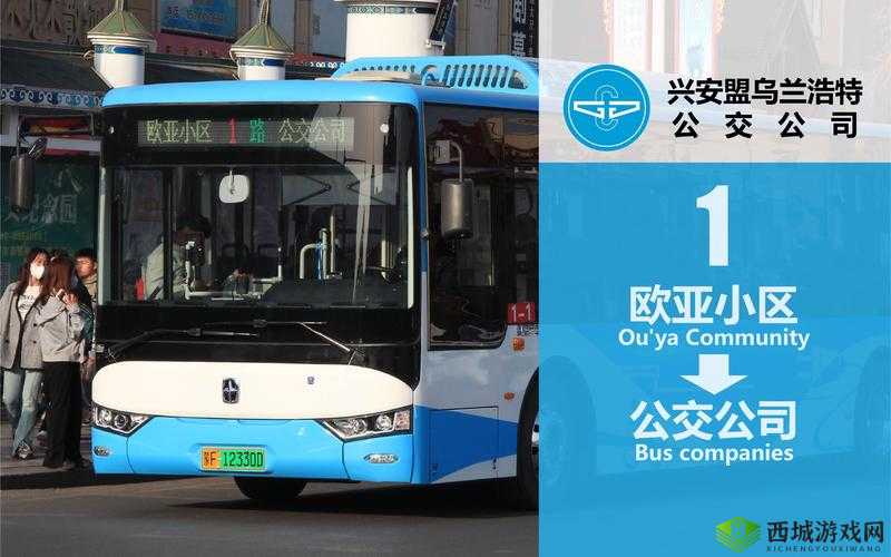 苏苏的日记公交车:迷失在都市的情感之旅