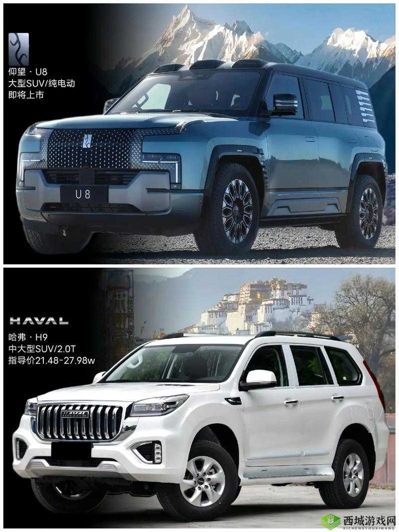 欧洲版国产 SUV:品质卓越的出行选择