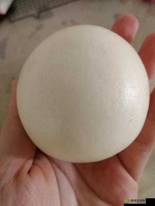 12 名泬图片馒头相关内容展示