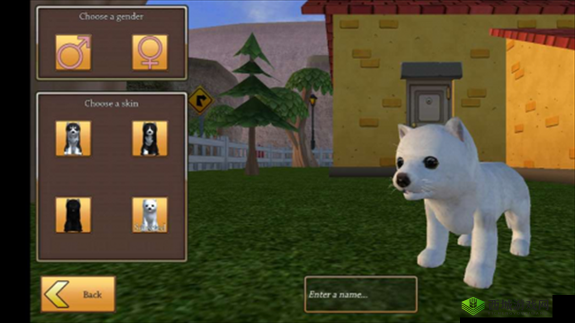 美国ZOOM动物仙踪林介绍:探秘神奇动物世界