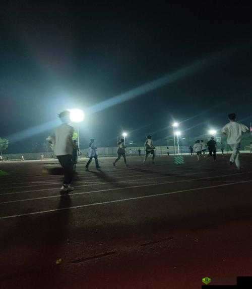 内捧进出爽大牛汉子：超越极限的快感