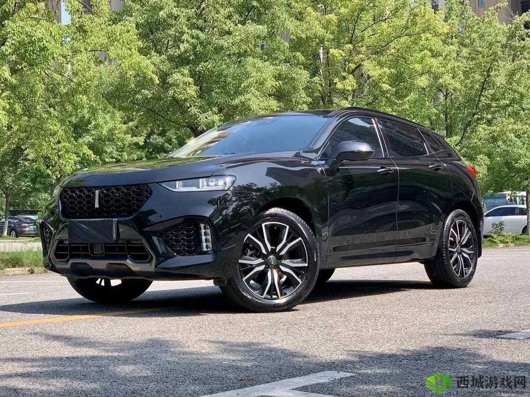 wey vv7 震撼视频:极致性能与豪华体验