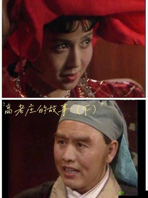 八戒,八戒网剧在线观看 8:高老庄的爆笑冒险