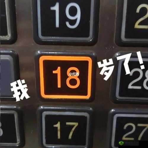 十八岁以上准备卫生纸转入:迎接新转变