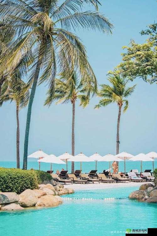 度假酒店的欢愉:享受阳光沙滩与休闲时光