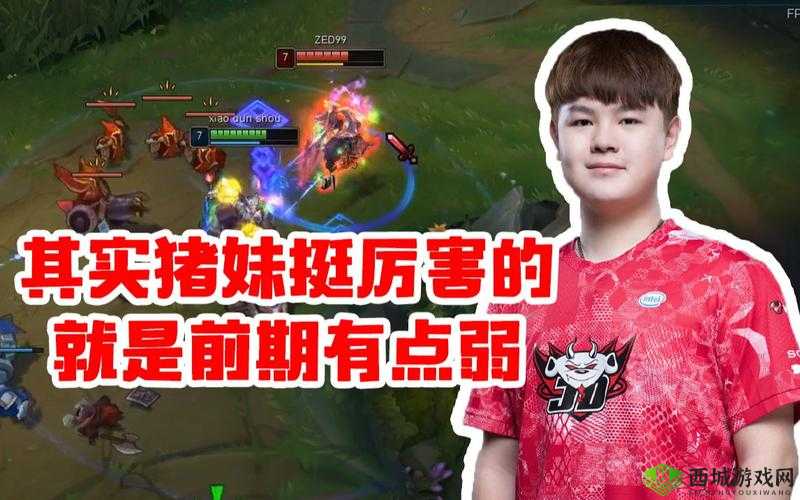 ZOOMSERVO 兽被传封禁:是谣言还是事实?