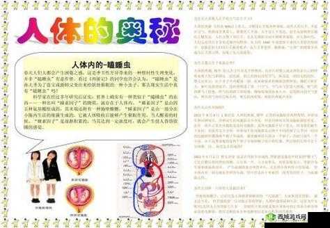 榨精病炼:探索独特病症奥秘