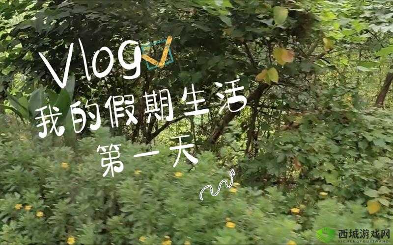 小芬的生活日记 VLOG:记录美好瞬间