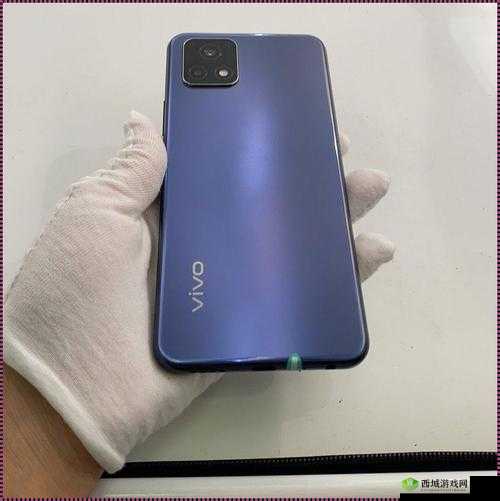 成色好的 Y31 竟一下子免费了发表