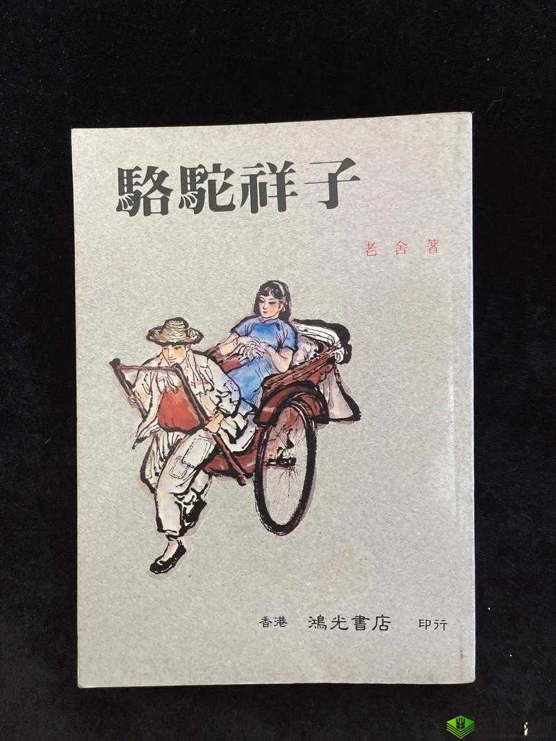 老孙头的春天：沧桑岁月中的故事