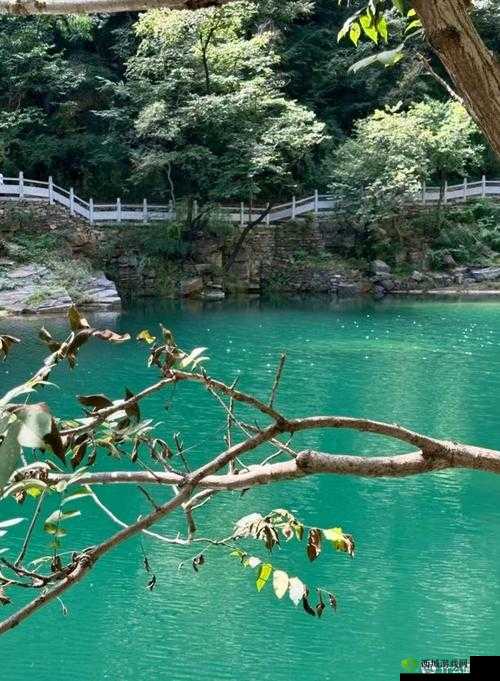 氺茤茤：独特魅力等你来发现