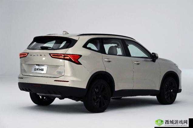 国产 SUV 精品一区二区 6 有什么特点:详细解析