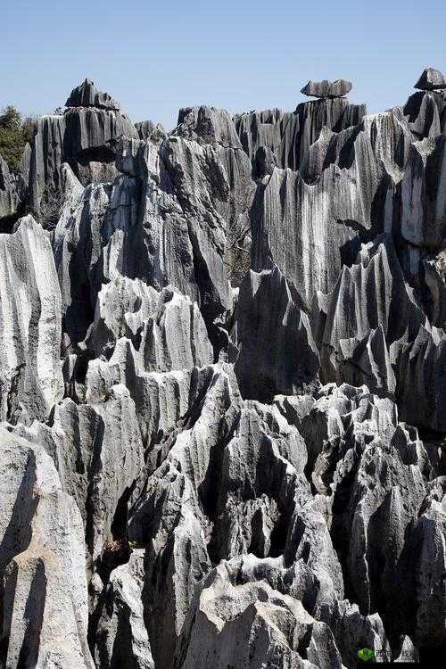 云南省 XXXXXL17：探索自然奇观