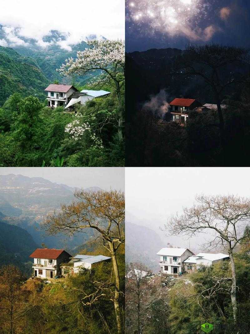 桃源深处村民喜好的大全：探索家乡之心的独特魅力与热情向往