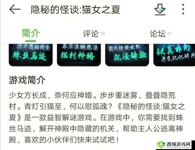 隐秘之谜：猫女之夏第章攻略解析——暗夜幻影与幽深探秘之旅