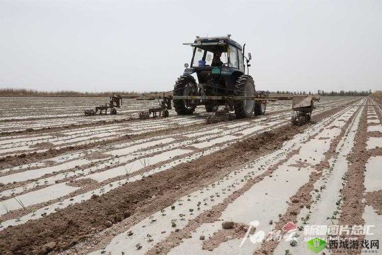 优质JY灌溉系统：高效农业的得力助手