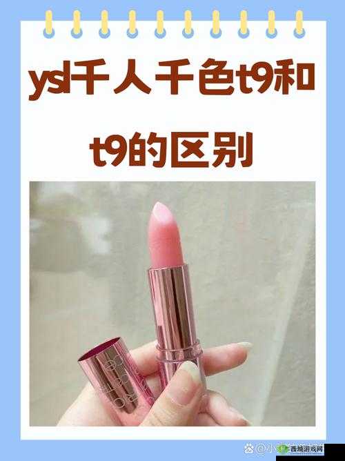 YSL 千人千色 T9 和 T9 的区别成片已正式发布:精彩呈现