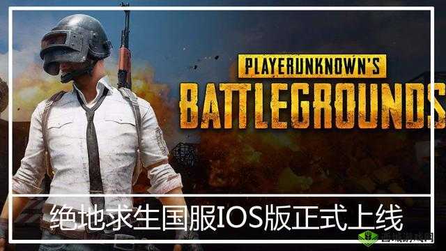 绝地求生手游预约超五千万 刺激战场全新官网正式上线