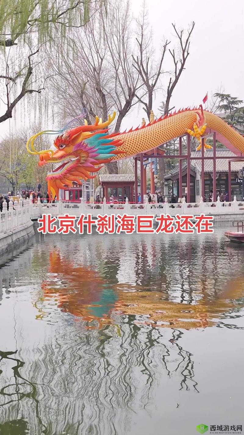 早上醒来发现巨龙还在:巨龙仍在,我该怎么办?