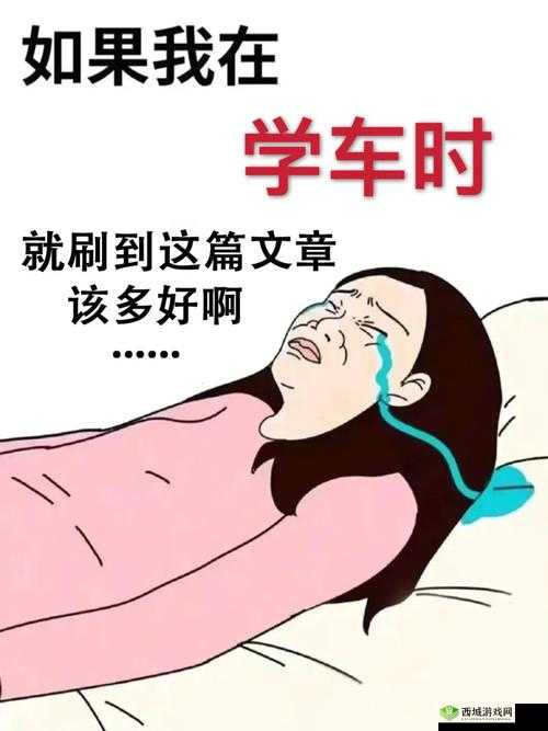 老司机视频揭秘关键动作,学会夺冠不是梦