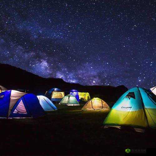 后营露营无增减第二季预告：精彩抢先看