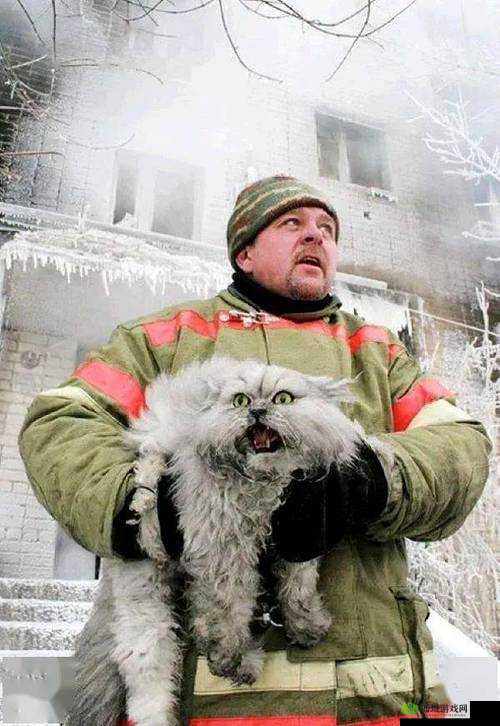 老子不能生 by 鸾枝全文免费阅读:精彩不容错过