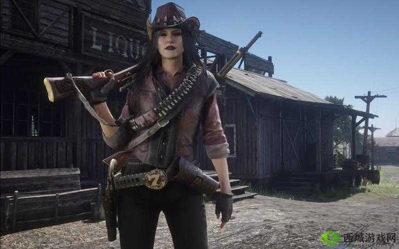 暴躁老阿姨荒野大镖客：一个女人的西部传奇