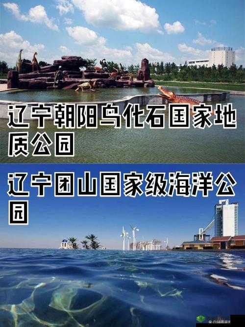 现在在哪里能找到最佳资源?:探寻最佳资源之地