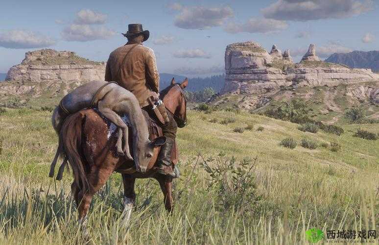 荒野大镖客大妈:西部传奇之旅