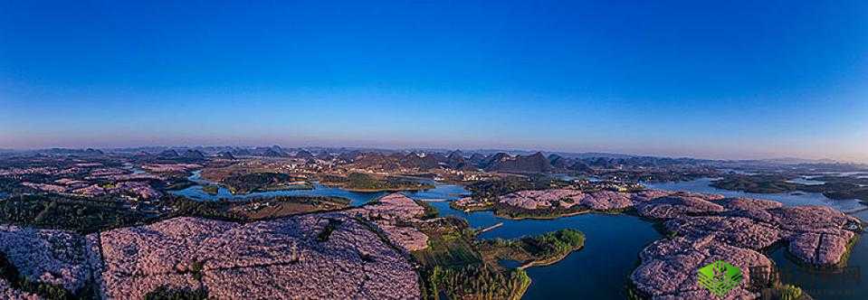 樱花 16q808a 独特魅力展现