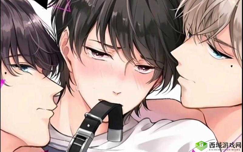 双胞胎一前一后夹心饼干双子全攻略：甜蜜诱惑