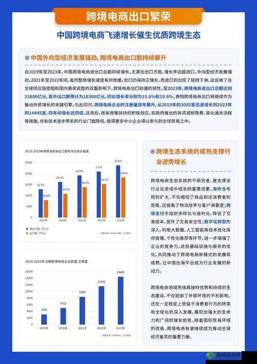 2024 amazon 欧洲站电商巨头:迎接挑战之道